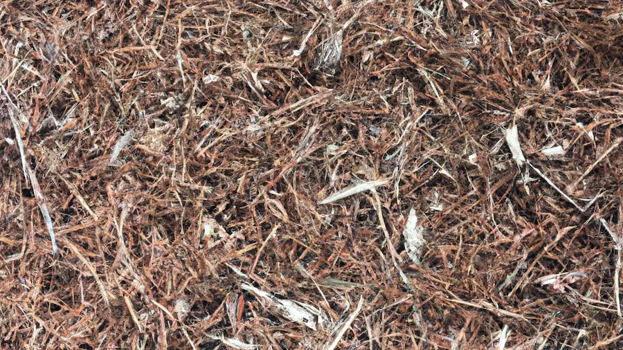 The Many Benefits of Mulching Pine Needles